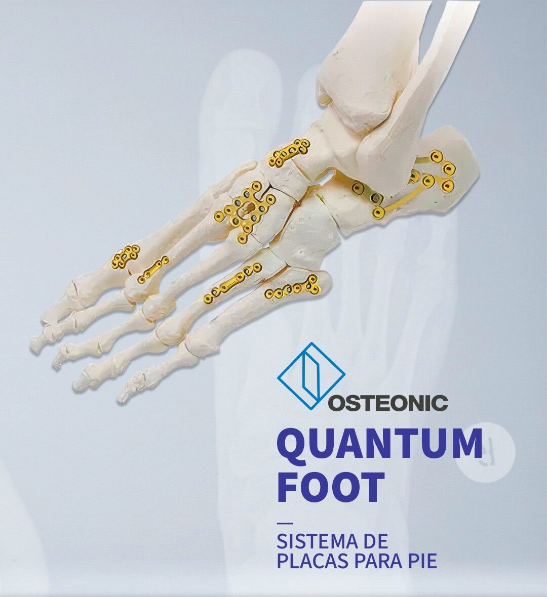 QUANTUM FOOT Sietsma de placas para pie